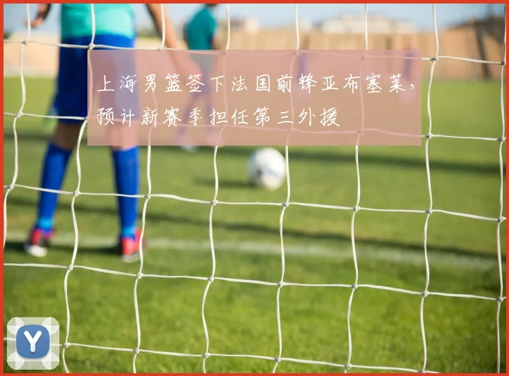 上海男篮签下法国前锋亚布塞莱，预计新赛季担任第三外援